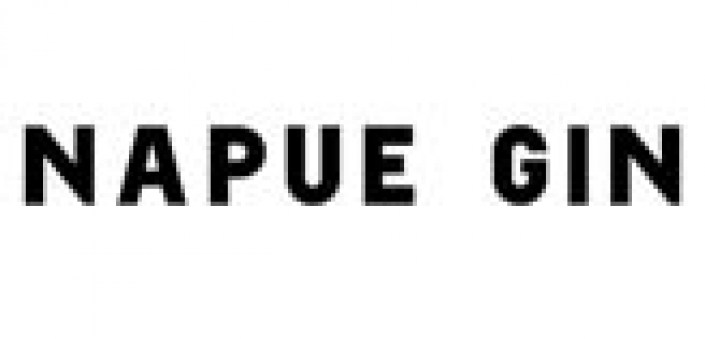 napue-gin-logo